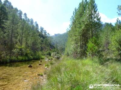 Hoz del Río Escabas - Serranía de Cuenca (Senderismo refrescante);rutas por sierra de madrid rutas